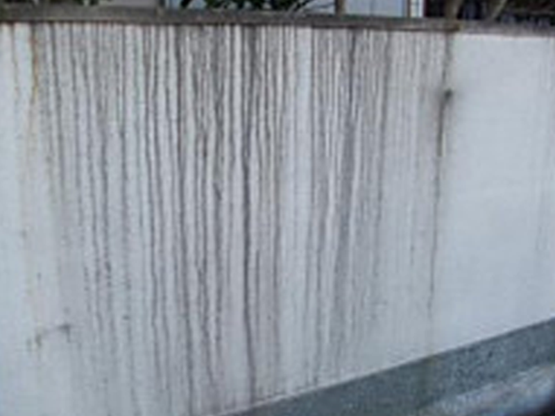 汚れ・かび（外壁・コンクリート塀）