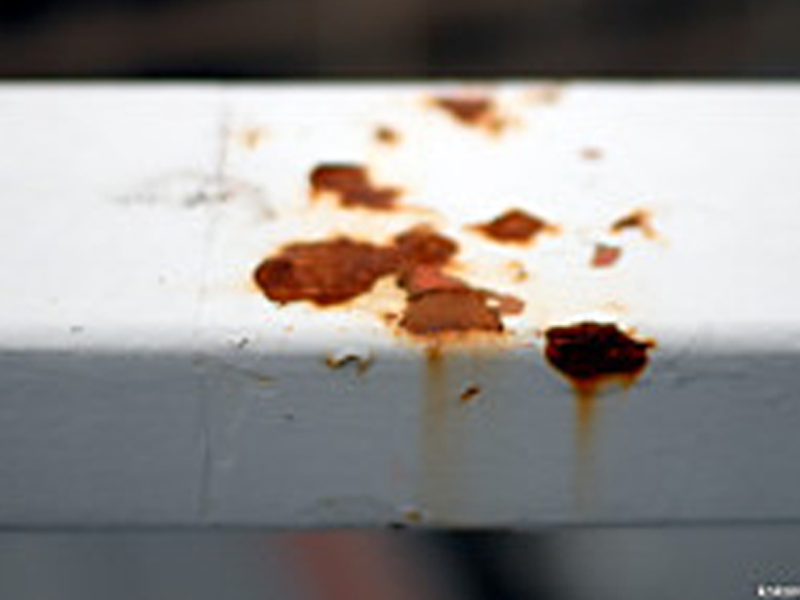 ふくれ・はがれ （外壁）